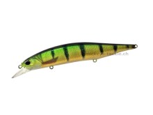 Realis Jerkbait 120 SP Pike Limited CCC3864 Yellow Perch ND